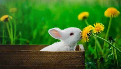 爱游戏电脑版官网-经典战术暴露：分析欧冠淘汰赛的关键元素，欧冠淘汰赛赛制规则